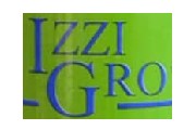 Izzi Gro