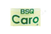 BSQ Black Style Queen