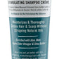 Aunt Jackie's Aloe & Mint Lather Up Shampoo Creme 284 g
