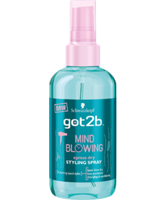 Schwarzkopf got2b Mind Blowing  Xpress Dry Styling Spray