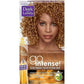 SoftSheen.Carson  Dark & Lovely go intense! - 10 Golden Blonde
