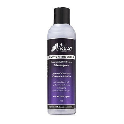 The Mane Choice  Easy On The Curls  Detangling Hydration Shampoo