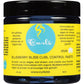 Curls Blueberry Bliss Curl Control Paste 4 fl oz jar