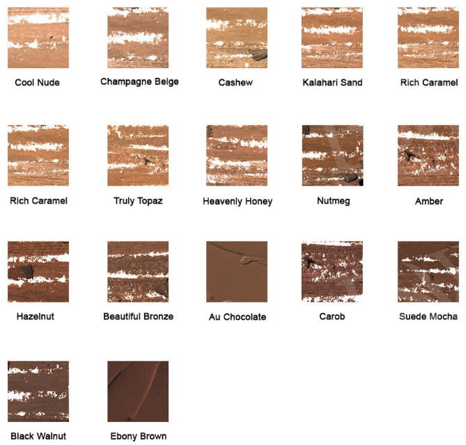 Black Opal Skin Perfecting Stick Foundation